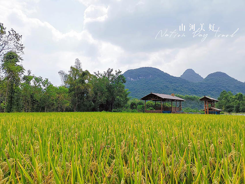 赏山悦水·拥抱自然——九游j9(中国)2020金秋阳朔之旅