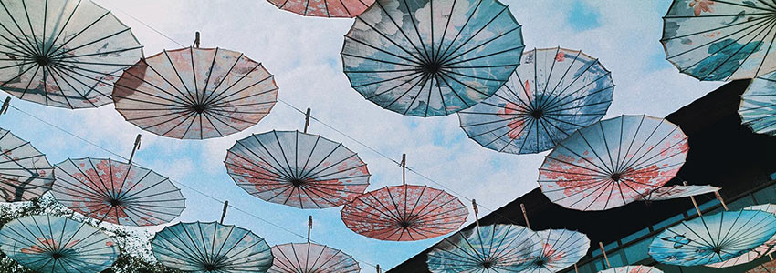 赏山悦水·拥抱自然——九游j9(中国)2020金秋阳朔之旅