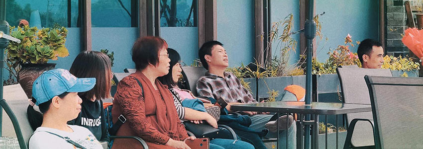 赏山悦水·拥抱自然——九游j9(中国)2020金秋阳朔之旅